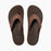 Reef Cushion Dawn Sandal-Brown