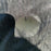 USED Core XR6 Kite-10m