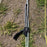 USED Core Sensor 4 Pro Bar-Standard 50cm/46.5cm