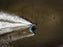 Core ERA Kiteboard