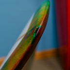 Alex Lopez Terrapin PU/Poly 6'6" (Blem)