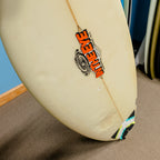 USED In The Eye Fish 5'6" w/Fins