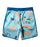 Quiksilver Highlite Scallop 19 Boardshorts-Maroccan Blue