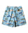 Quiksilver Everyday Mix Volley 17 Boardshorts-Sky Blue