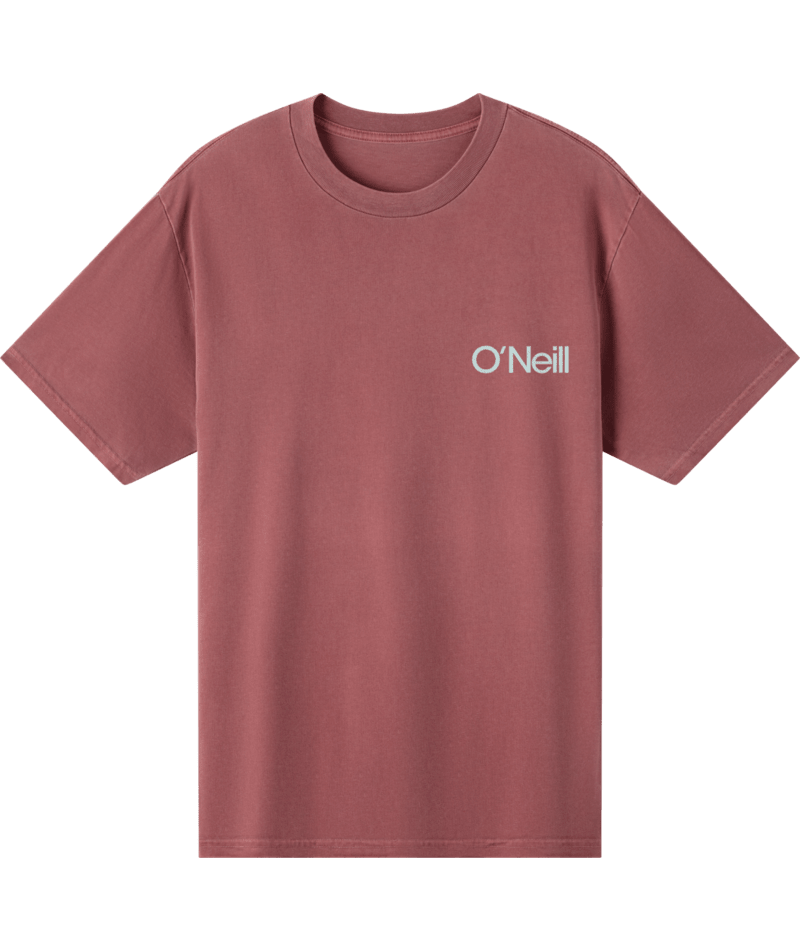 O'Neill OG Surfer Vintage Tee-Apple Butter