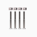 Armstrong Foil Drive Plate Bolts Set