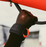Manera MAGMA Open Palm Glove-2.5mm