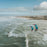 Reedin HyperModel Kite