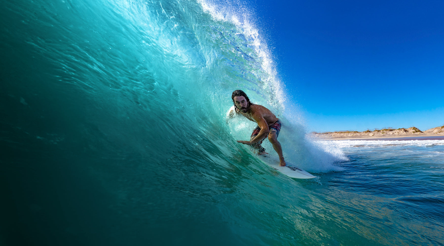 Back to Shred Sale