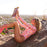 Kulani Kinis L/S Surf Suit One Piece-Daisy Dreamer