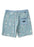 Vissla Sun Medallions 18.5" Boardshorts-Smokey Jade