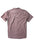 Vissla The Box Eco S/S Shirt-Terracotta
