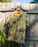 Free Fly x REEF Sullivan's Camp S/S Shirt-Floral Camo