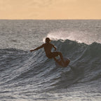 North Sonar Front Surf Wing