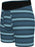 Stance Warped Wholester Boxers-Blue