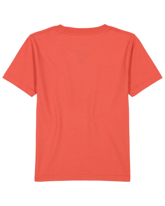 Quiksilver Boys Retro Skull Tee-Spiced Coral