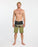 Quiksilver Surfsilk Panel 19 Boardshorts-Aloe