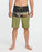 Quiksilver Surfsilk Panel 19 Boardshorts-Aloe