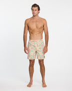 Quiksilver Everyday Mix Volley 17 Boardshorts-Cream