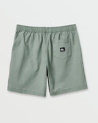 Quiksilver Taxer WS Shorts-Herb