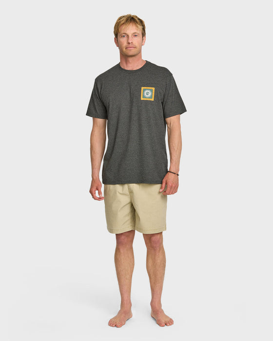 Quiksilver Sun Roots Tee-Silver White Heather
