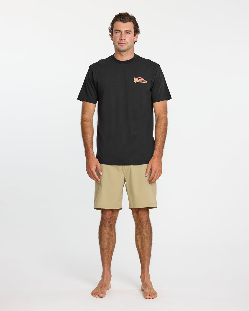 Quiksilver Everyday Paradise Tee-Black
