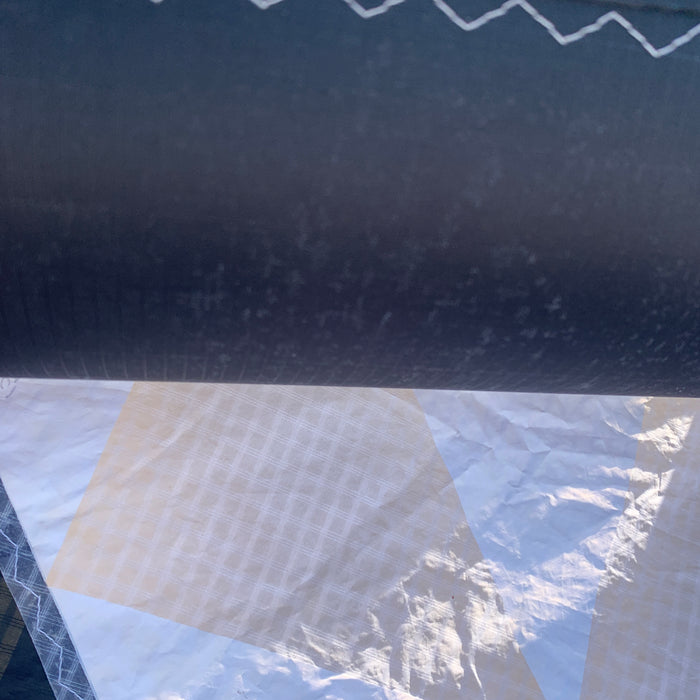 USED Core Nexus 2 Kite-White-13.5m