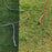 USED Ozone Catalyst V3 Kite-16m-Marine Blue