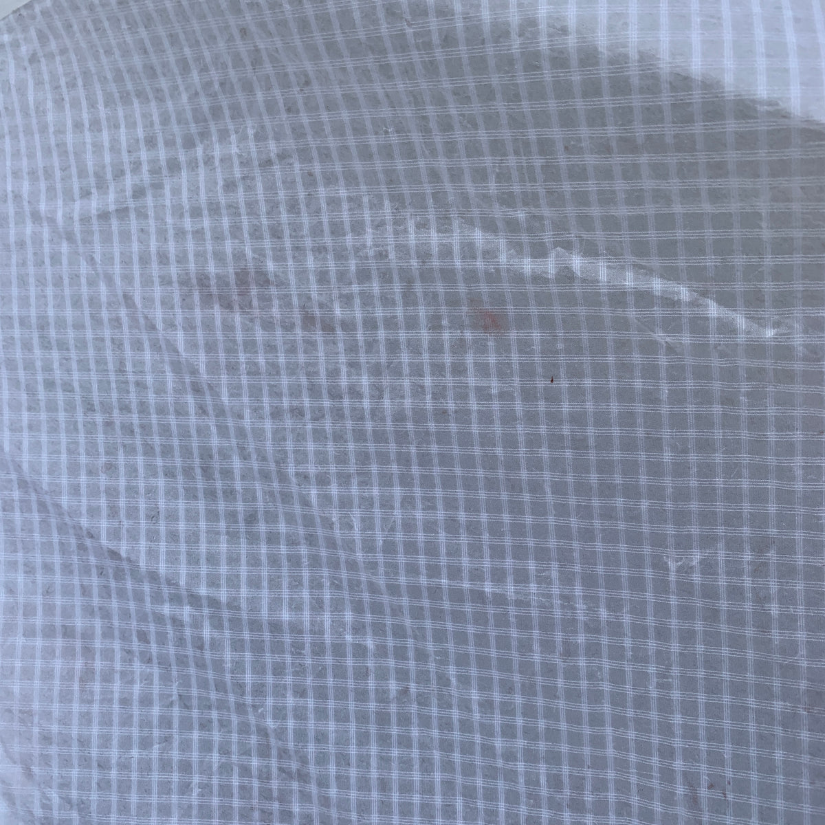 USED Core XR7 Kite-12m-White