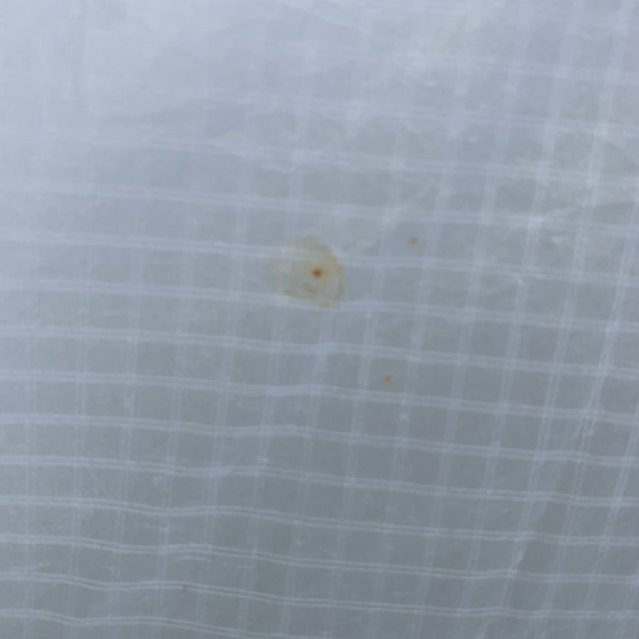 USED 2024 North Loft Pro Wing-7m-White