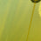 USED 2024 North Orbit Kite-10m-Sunset Yellow