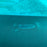 USED 2024 North Reach Kite-17m-Turquoise