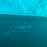 USED 2024 North Reach Kite-15m-Turquoise