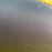USED Armstrong A Wing XPS-4.0m