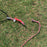 USED Core Nexus 4 Kite-Black-6m