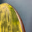 USED KT Drifter 4 Carbon Foilboard-7'1" x 170L