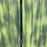 USED KT Drifter 4 Carbon Foilboard-7'1" x 170L