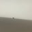 USED Armstrong Downwind Performance Foilboard-8'2" x 98L