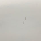 USED Armstrong Downwind Performance Foilboard-9'6" x 118L