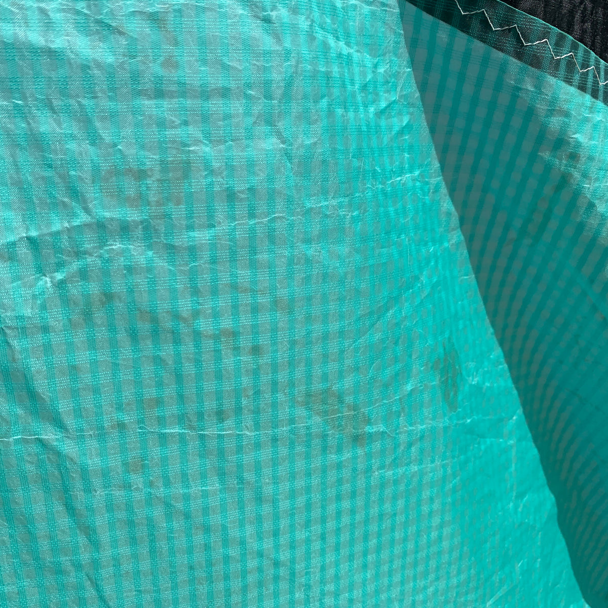 USED 2025 Naish Pivot Kite-Teal-12m