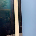 USED Core Fusion 6 Kiteboard-141cm w/Straps