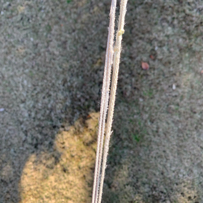 USED Core Sensor 4 Bar-50cm-46.5cm