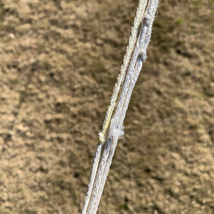 USED Core Sensor 4 Bar-50cm-46.5cm