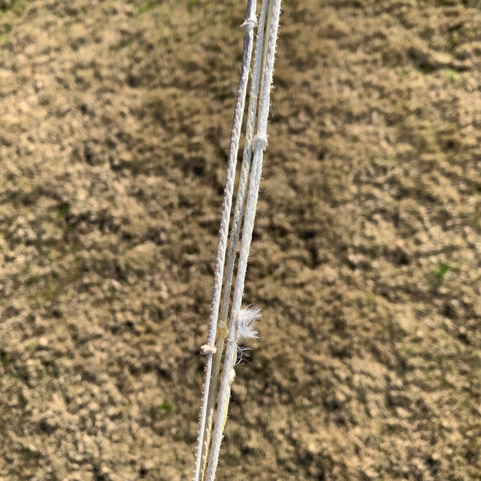 USED Core Sensor 4 Bar-50cm-46.5cm