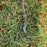 USED Core XR8 Kite-13.5m-White