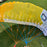 USED Ozone Pocket Rocket Parawing-Yellow/Gold-3m