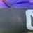 USED 2026 North Orbit Kite-Deep Purple-10m