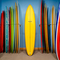 Roger Hinds The Master PU/Poly 9'0"