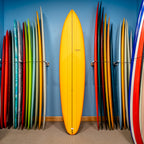 Roger Hinds The Master PU/Poly 9'6"
