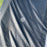 USED Core XR7 Kite-11m